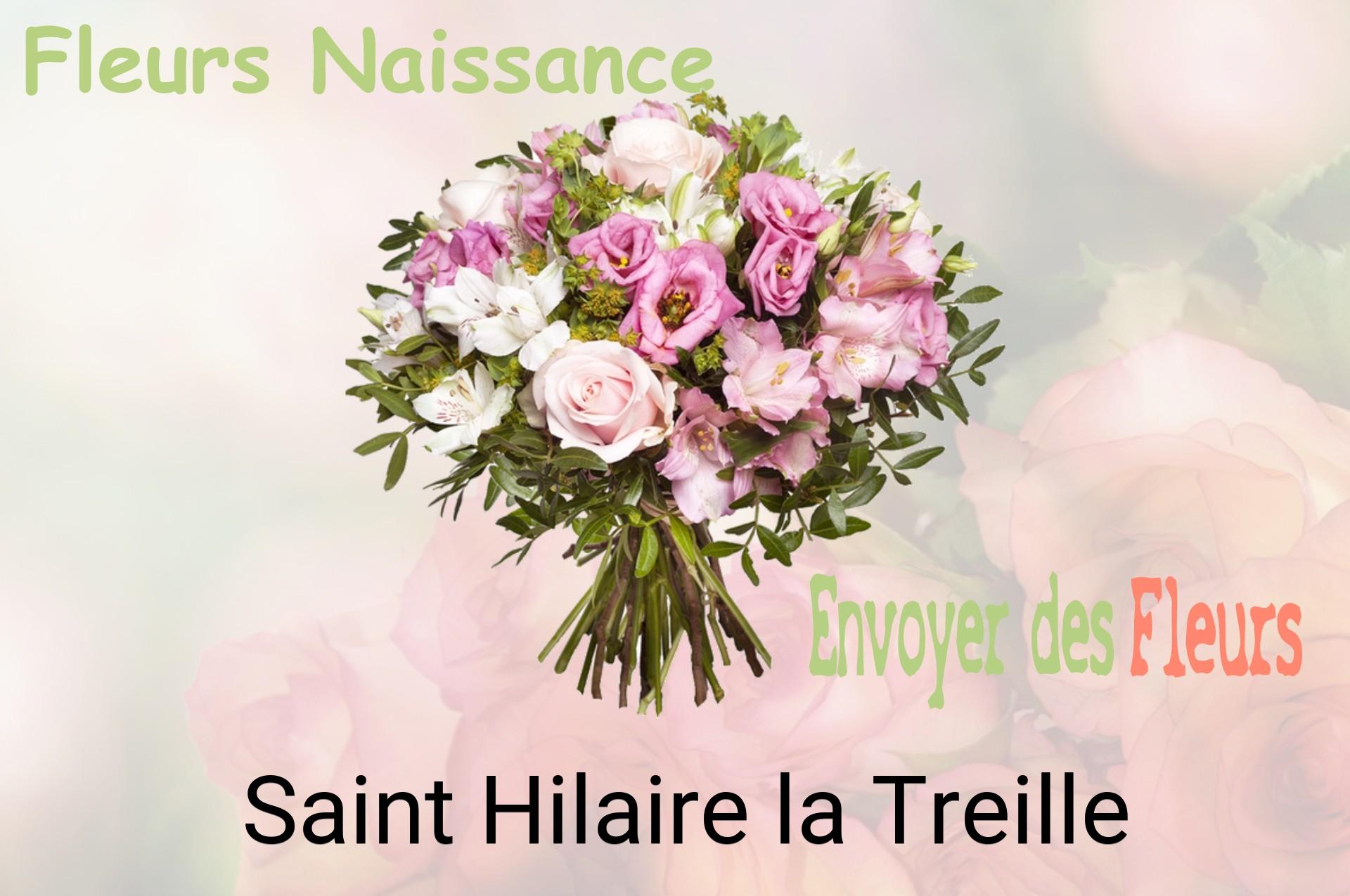 Bouquet de fleurs de naissance livré à Saint-Hilaire-la-Treille