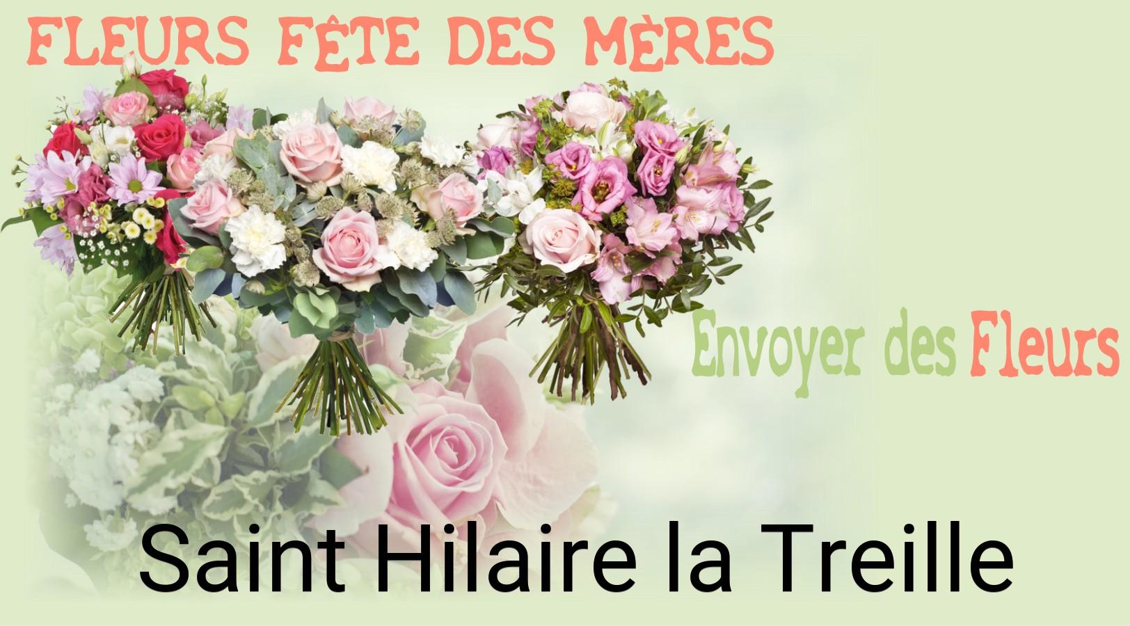 Bouquet de Fête des Mères livré à Saint-Hilaire-la-Treille